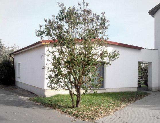 Ferienhaus-Poweleit Börgerende-Rethwisch Exterior foto